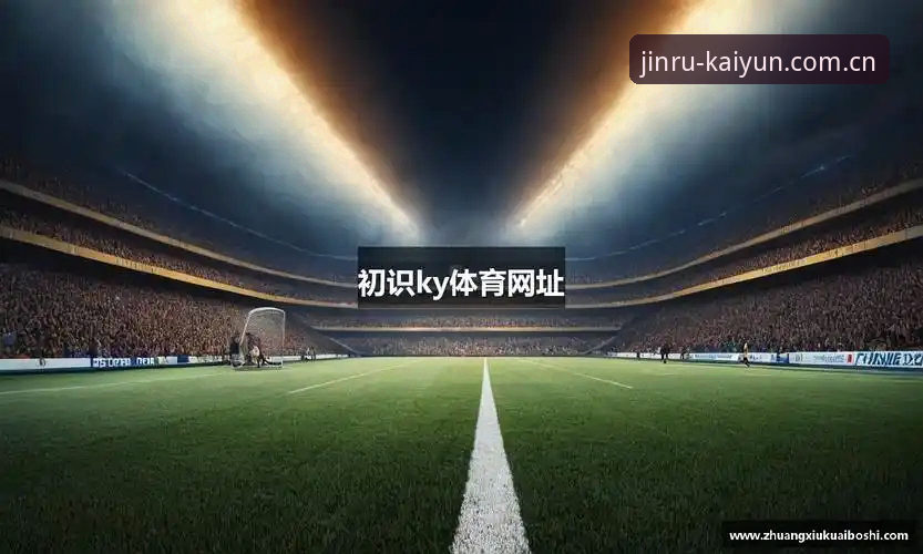 选择开云体育电脑版的实用指南：三大关键指标助你决策